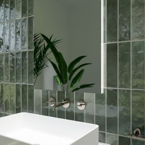 AMB-BRUNEI-L25-FOREST-WEB-optimized.jpg