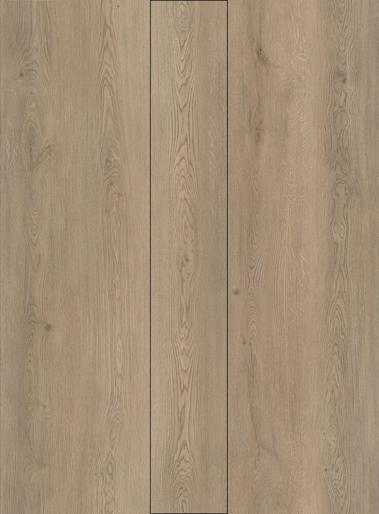 Global — sol SPC – Image 4