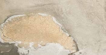 Cati Natural — texture DREVEX