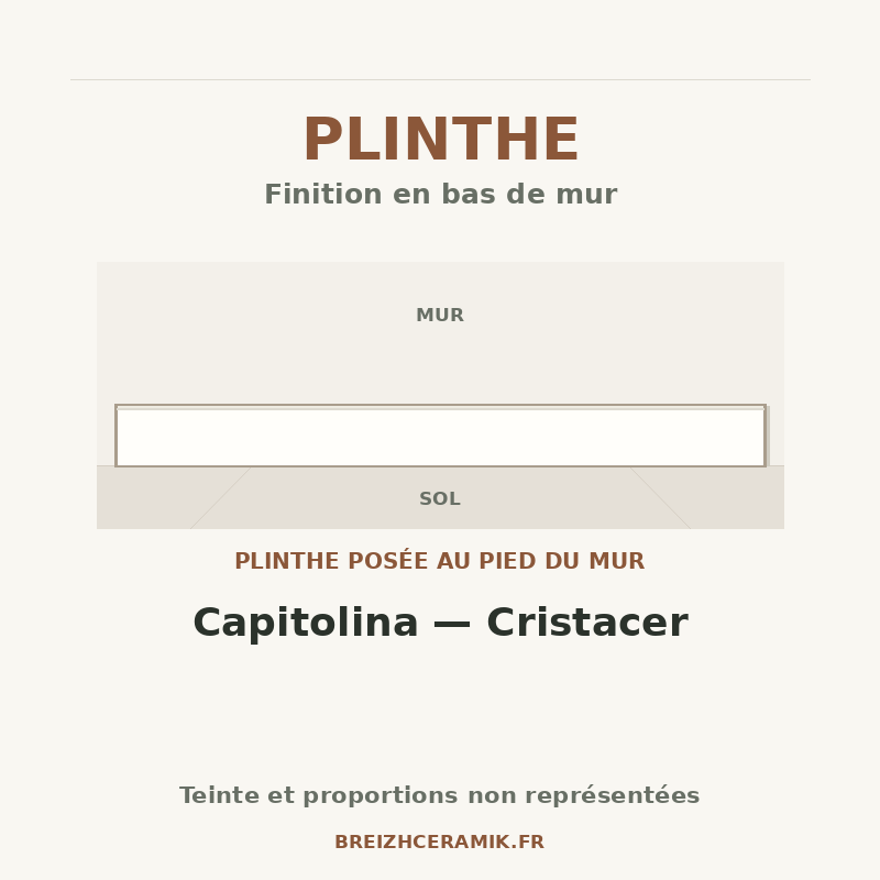 Plinthe — Plinthe Capitolina — Cristacer — schéma générique