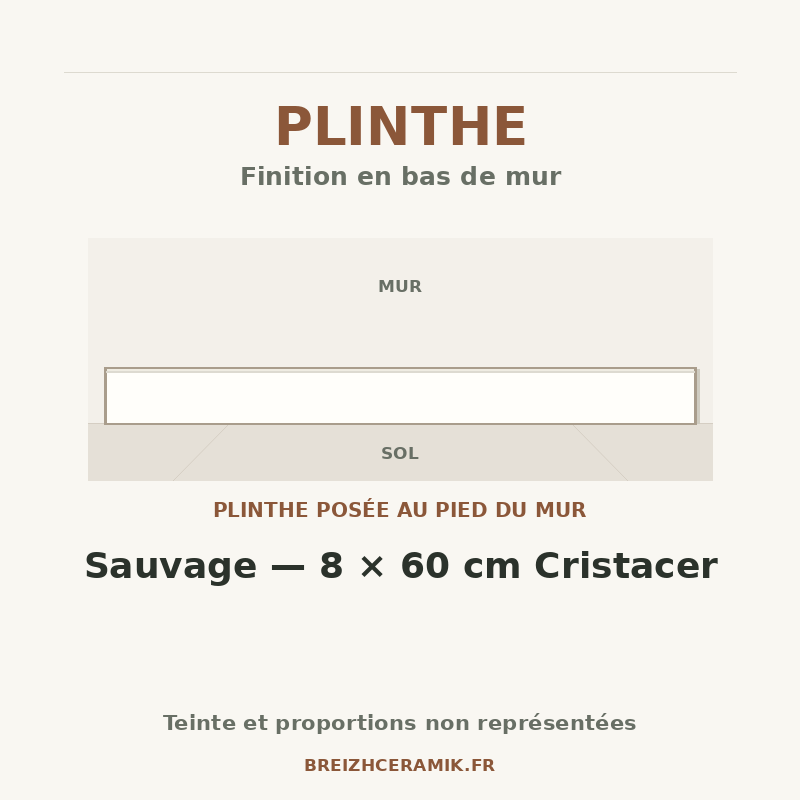 Plinthe — Plinthe Sauvage — 8 × 60 cm Cristacer — schéma générique