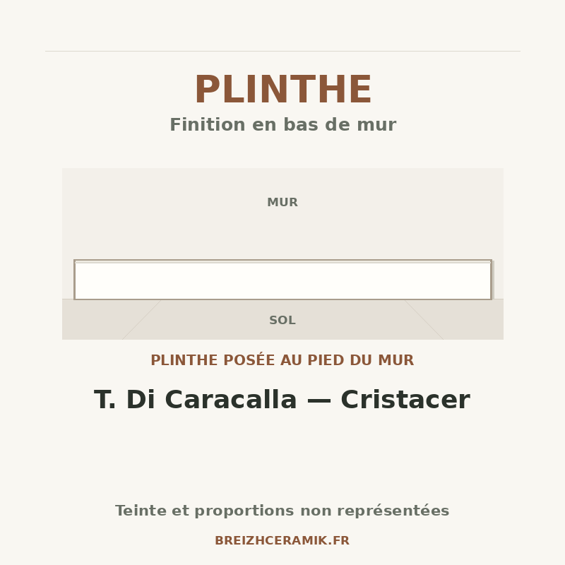Plinthe — Plinthe T. Di Caracalla — Cristacer — schéma générique