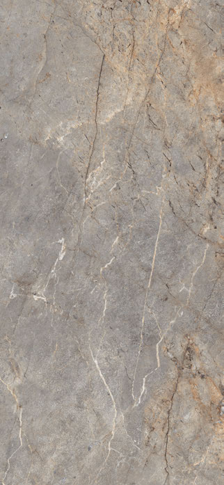 Silver Root — Poli — visuel fabricant Rubicer, catalogue 2026